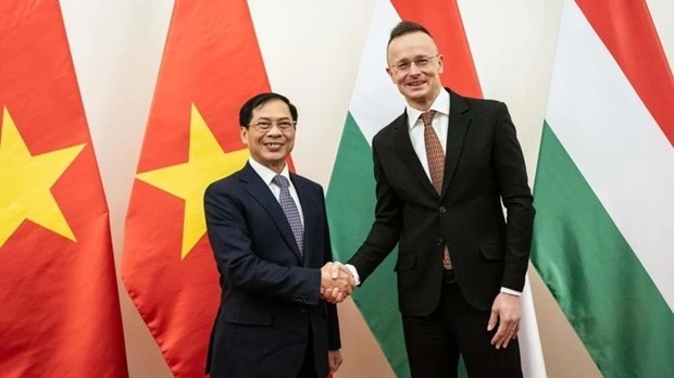 Vietnam fosters diplomatic ties with Romania, Hungary: FM Bui Thanh Son