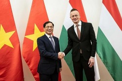 Vietnam fosters diplomatic ties with Romania, Hungary: FM Bui Thanh Son