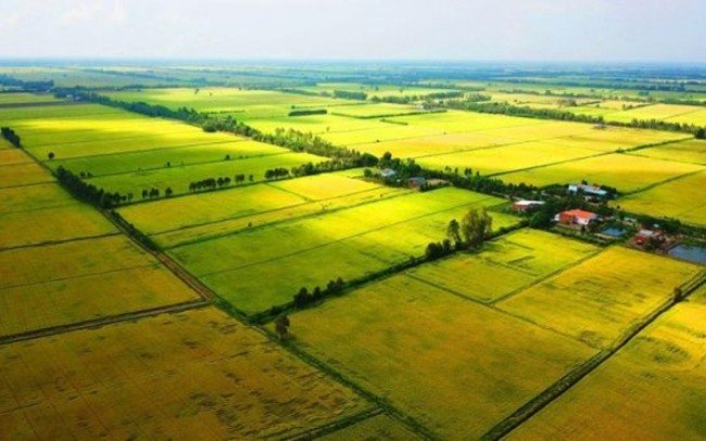 09 điểm mới Luật Đất đai 2024 09 điểm mới Luật Đất đai 2024
