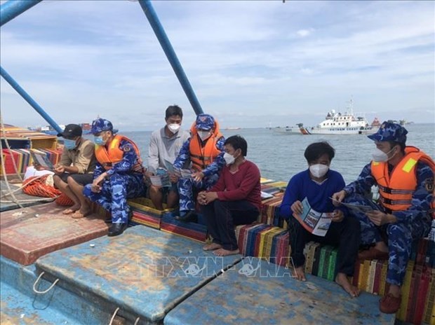 Ba Ria – Vung Tau takes drastic measures against IUU fishing  | Society | Vietnam+ (VietnamPlus)