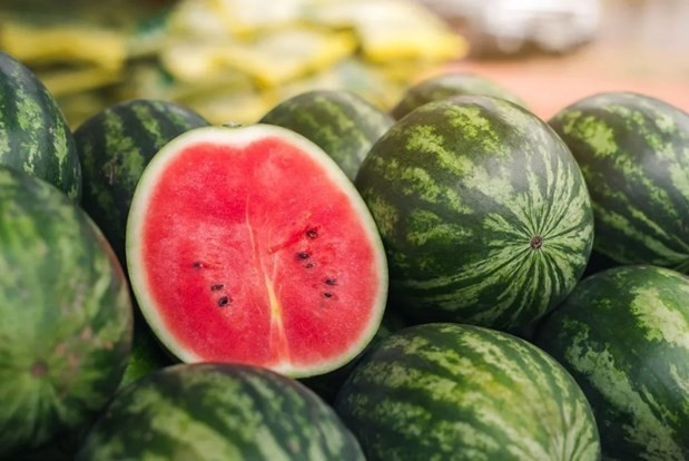 Protocol expected to raise Vietnamese watermelon shipments to China: MARD