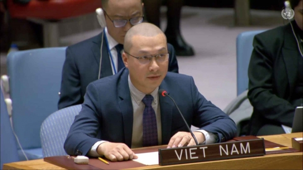 Vietnam renews appeal for immediate ceasefire in Gaza Strip: Diplomat to UN
