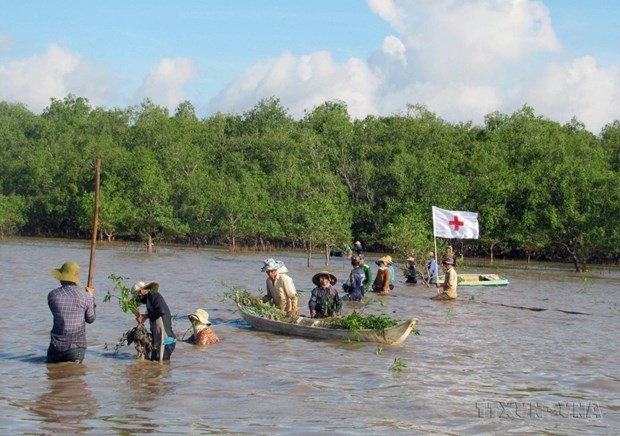 IPEF is a new way ahead for Vietnam: Experts