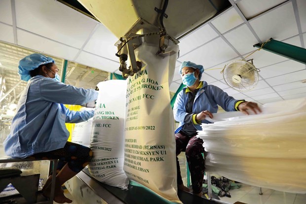 Philippines - a high potential market for Vietnamese exports: office Philippines - a high potential market for Vietnamese exports: office