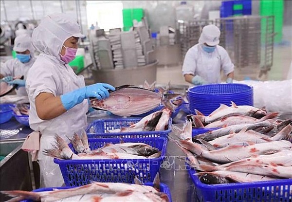 Vietnam strives to increase competitiveness for agricultural exports to US: MOIT