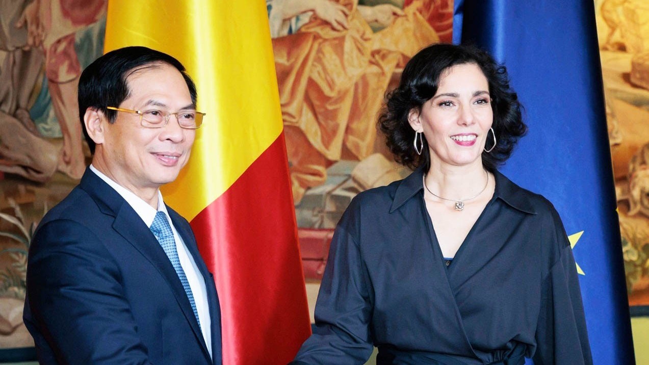 Foreign Minister Bui Thanh Son meets Belgian leaders in Brussel