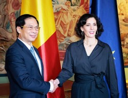 Foreign Minister Bui Thanh Son meets Belgian leaders in Brussel