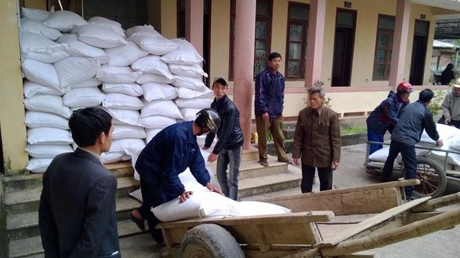 Over 1,400 tonnes of rice allocated to five provinces  ahead of Tet from the national reserve