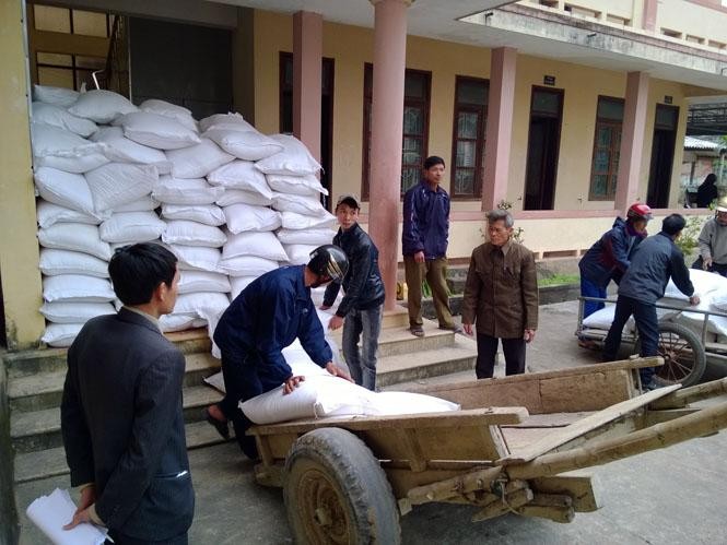 Over 1,400 tonnes of rice allocated to five provinces  ahead of Tet from the national reserve