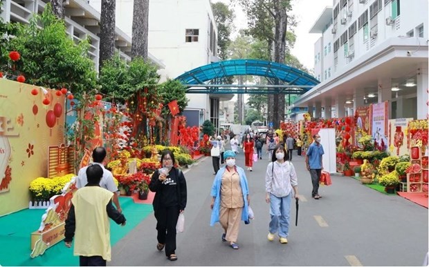 Flower streets bring spring to patients in HCM City | Society | Vietnam+ (VietnamPlus)