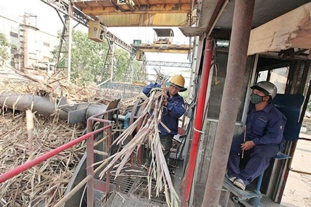 Sugar companies flourish with strong business performance in 2023 | Business | Vietnam+ (VietnamPlus)