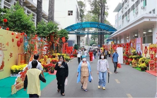 Flower streets bring spring to patients in HCM City | Society | Vietnam+ (VietnamPlus) Flower streets bring spring to patients in HCM City | Society | Vietnam+ (VietnamPlus)