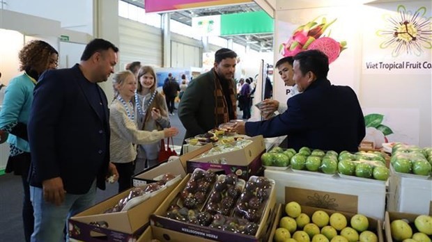 Vietnamese fruits promoted in Berlin exhibition