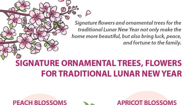 Signature ornamental trees, flowers for traditional Lunar New Year