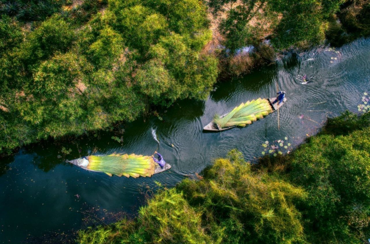 Traditional Tet atmosphere in a peaceful green place