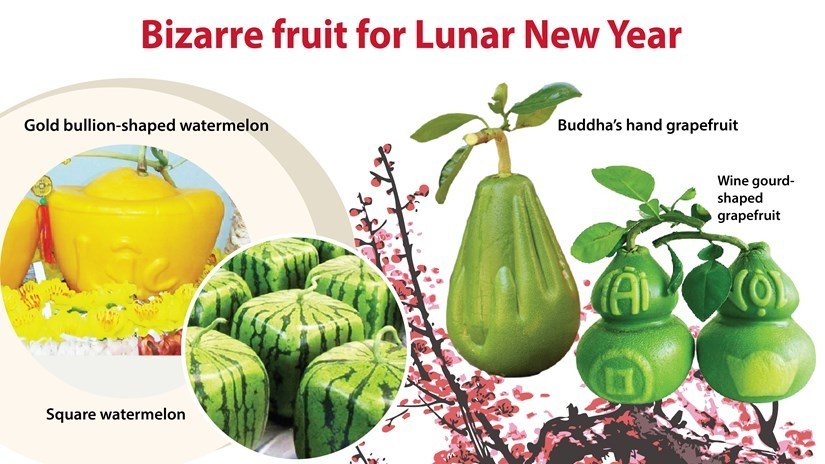 Bizarre fruit for Lunar New Year - topping the list of unique presents