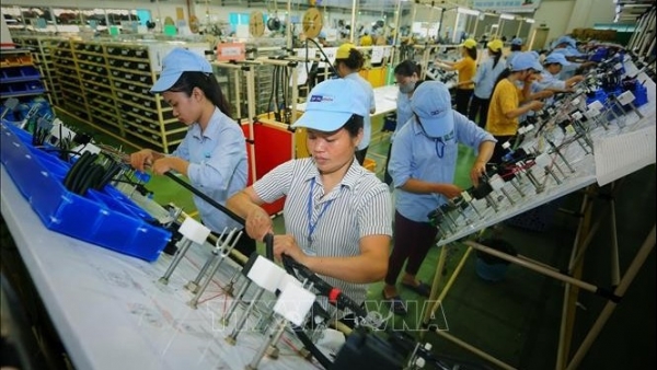 Vietnam's attraction of FDI continues to be positive in 2024: Expert