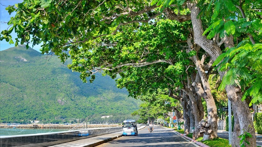 Con Dao - Pristine beauty among must-see destinations in Vietnam