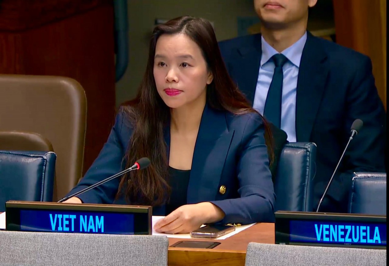 Vietnam prioritises building inclusive, equal, resilient society: diplomat