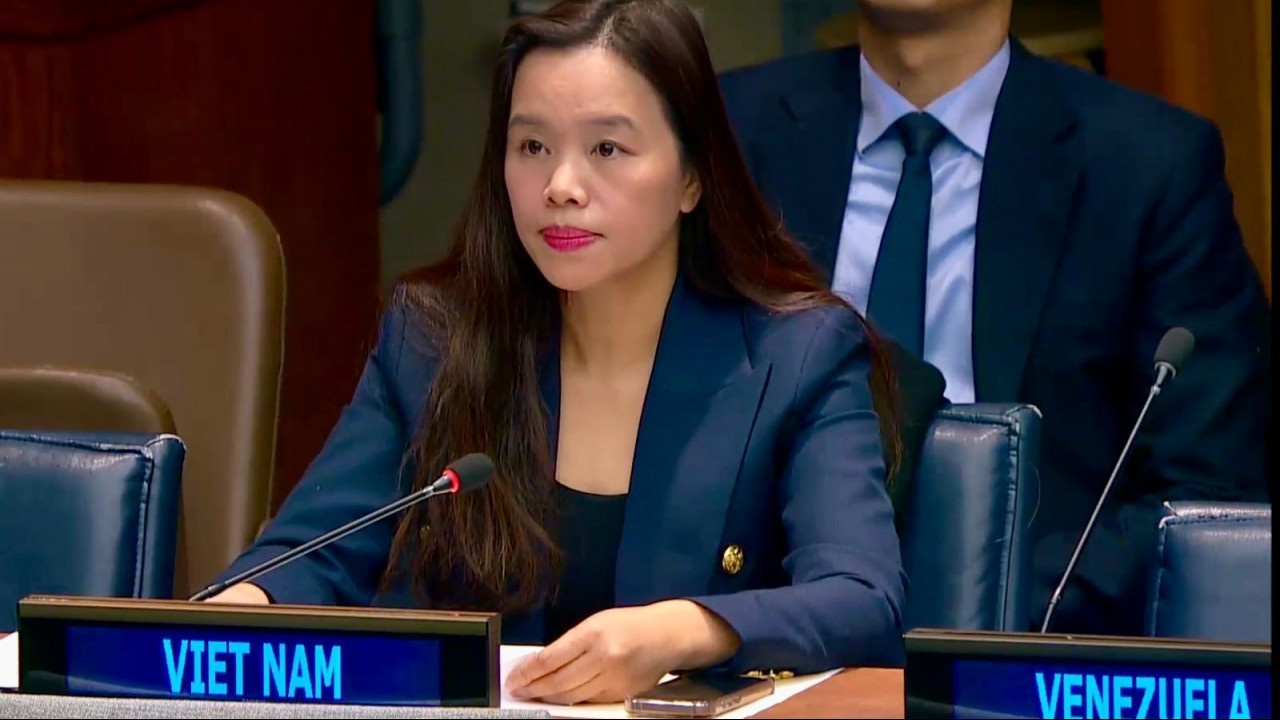 Vietnam prioritises building inclusive, equal, resilient society: diplomat