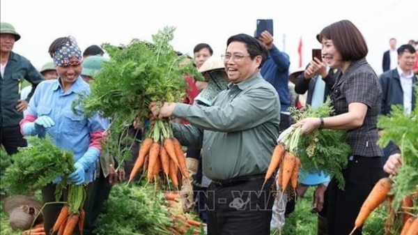 Prime Minister visits agricultural production models of Hai Duong