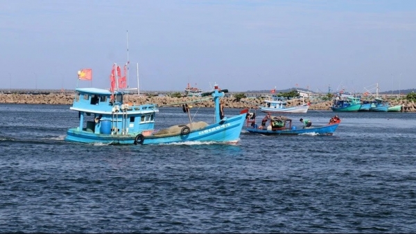 Thanh Hoa takes drastic measures to combat IUU fishing