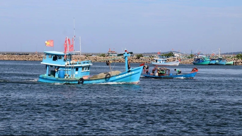 Thanh Hoa takes drastic measures to combat IUU fishing