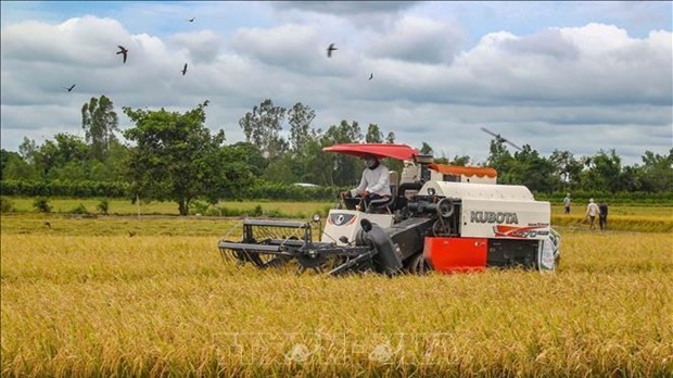 Vietnam's rice sector looks for 5 billion USD export target: Traders