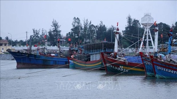 MARD urges examination of fishing vessels without tracking