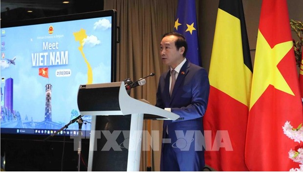 Measures sought to promote Vietnam-Belgium cooperation: Embassy