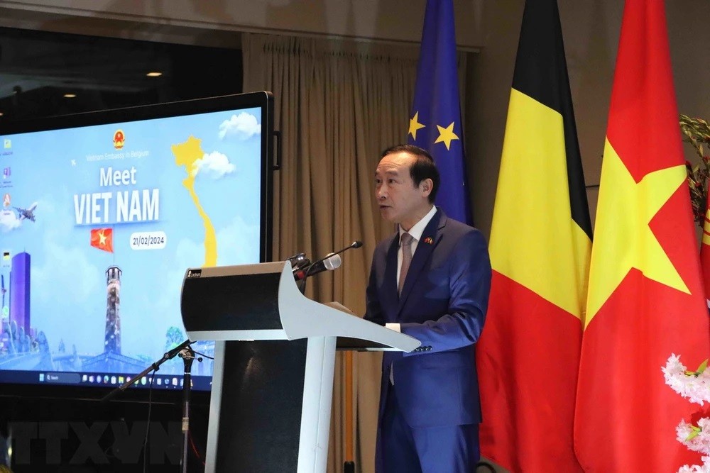 EVFTA powers Vietnam’s trade rise, but more reforms needed: Ambassador