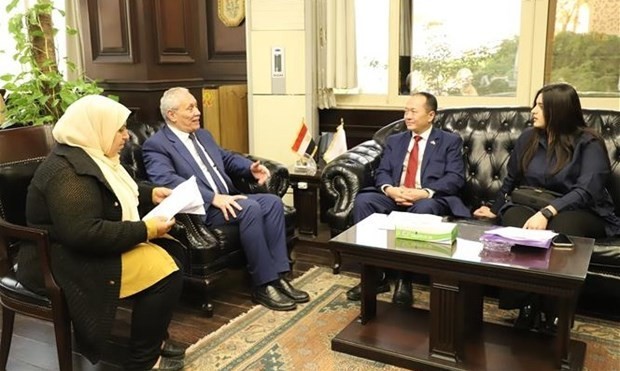 Egyptian locality looks to expand cooperation with Vietnam: Ambassador