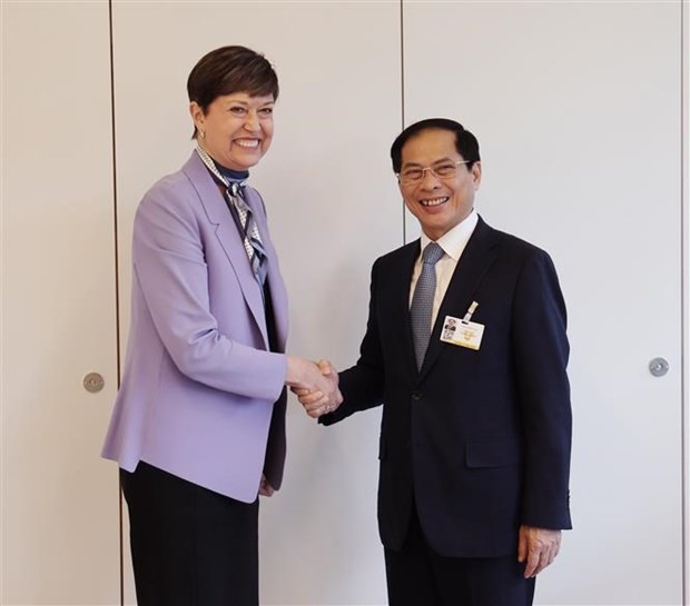 FM Bui Thanh Son meets UN High Commissioner for Human Rights, foreign officials in Geneva