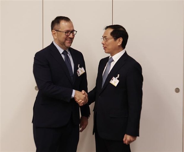 FM Bui Thanh Son meets UN High Commissioner for Human Rights, foreign officials in Geneva