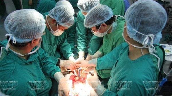 Vietnam a bright spot in organ transplant