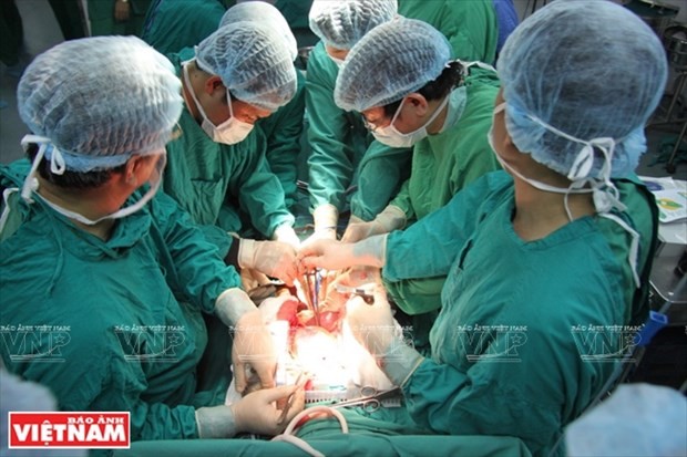 Vietnam a bright spot in organ transplant | Health | Vietnam+ (VietnamPlus)