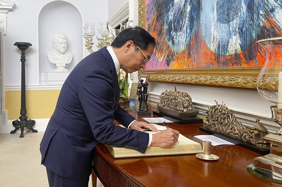 FM Bui Thanh Son meets with Irish President Michael D. Higgins