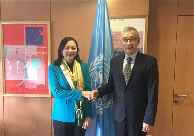 Vietnam, UNESCO look to deepen cooperation: Ambassador