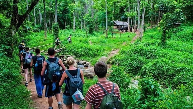 Vietnam advised to promote development of forest-based ecotourism: MARD