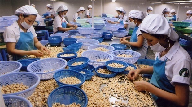Vietnam to join Agricultural Supply Chain Asia conference