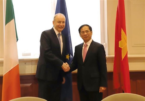 Vietnam, Ireland Foreign Ministers hold talks forging cooperation