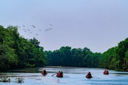 Dong Thap Muoi Ecological Reserve Sightseeing Area : A Continuing Source of Inspiration