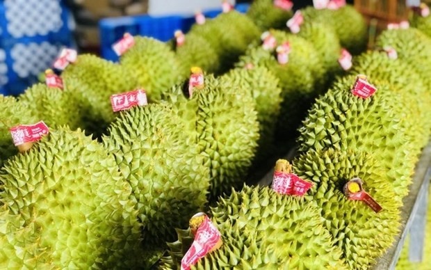 Vietnam is striving to further assert its durian export position