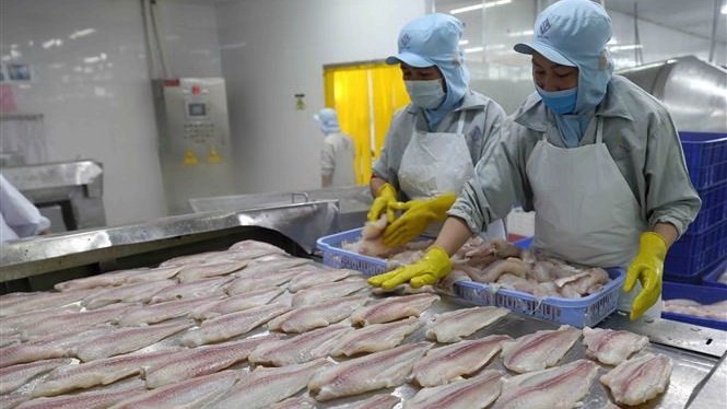 Vietnam becomes second largest supplier of white fish to US