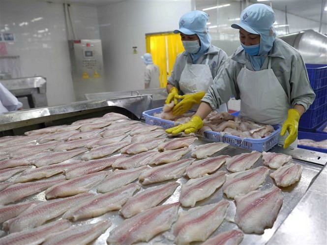 Vietnam becomes second largest supplier of white fish to US