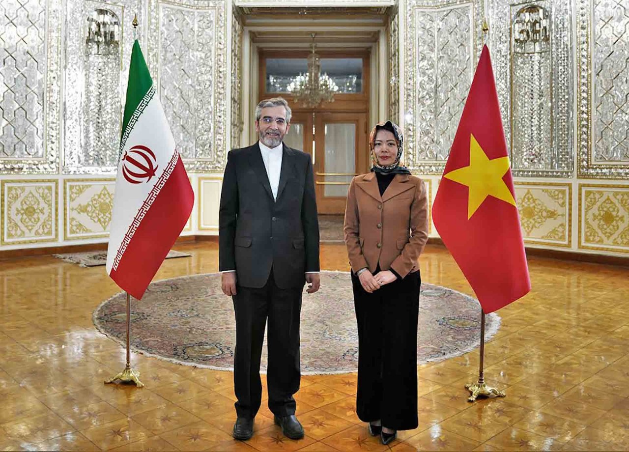 Vietnam, Iran Deputy Foreign Ministers hold 8th political consultation