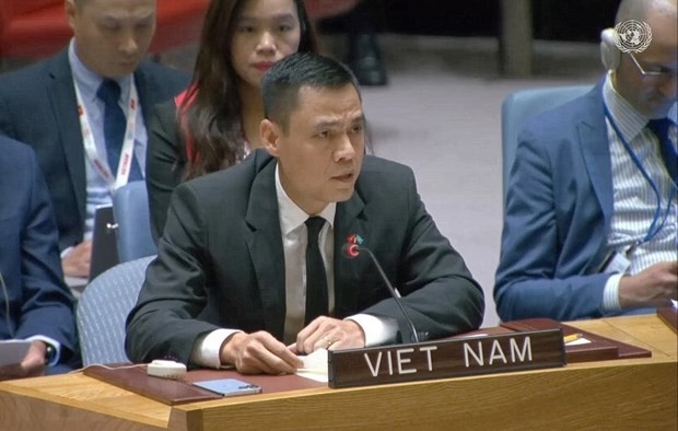 Vietnam continues call for ceasefire in Gaza Strip: Ambassador
