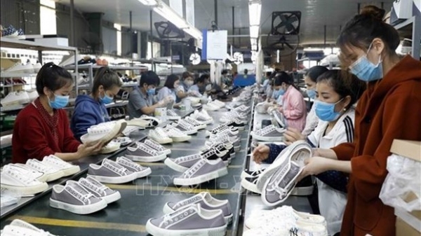 Footwear exports see promising signals: Experts