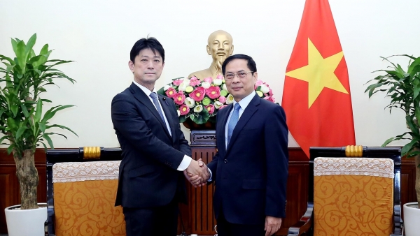 FM Bui Thanh Son highlights progress of Vietnam - Japan cooperation