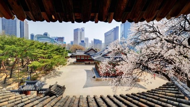 Spring excursions showcase the hidden beauty of Deoksu Palace